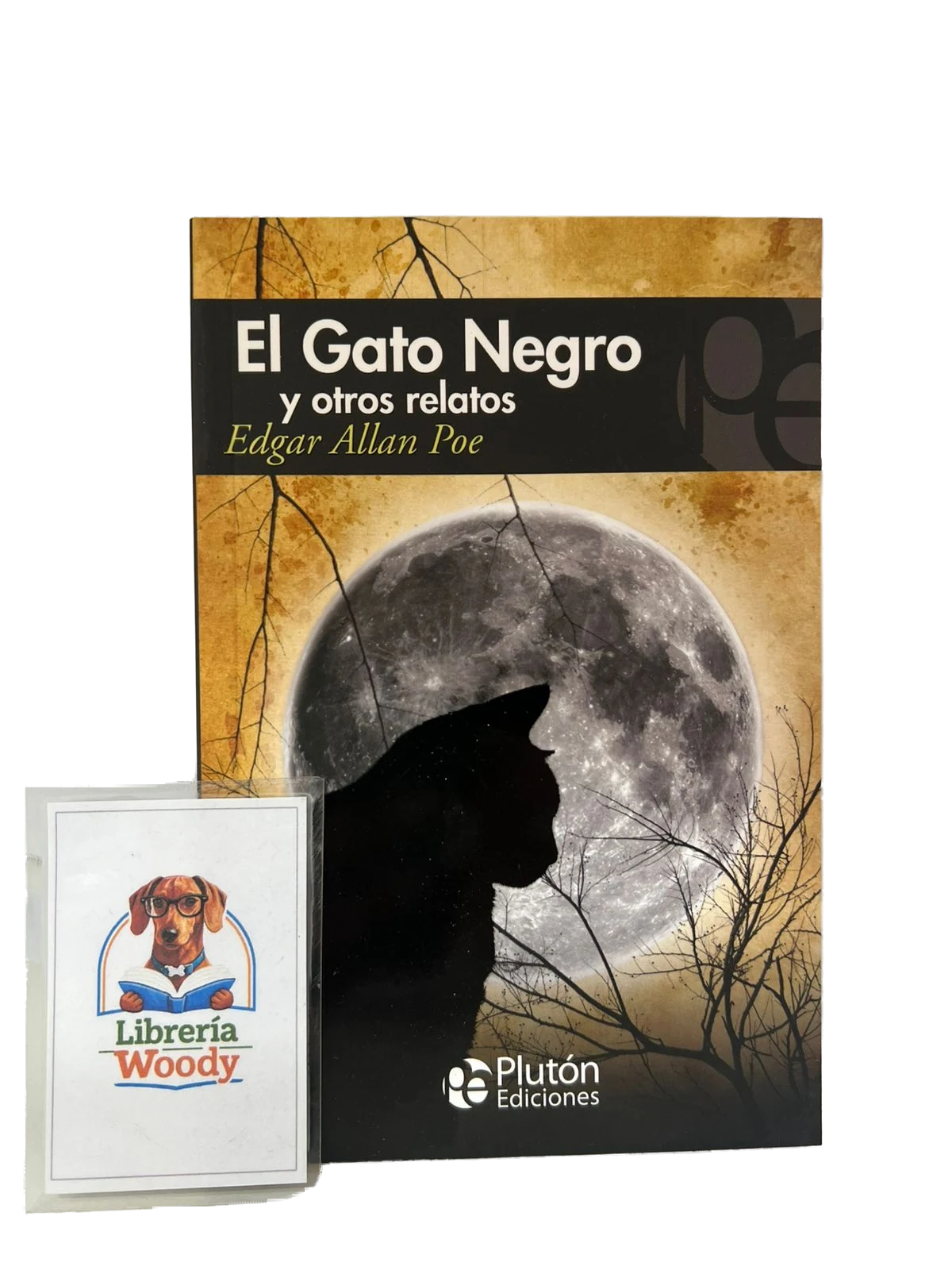 El Gato Negro y Otros Relatos